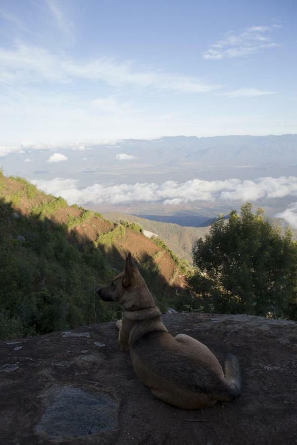 Mambo View Point Villa Ndungu Buitenkant foto